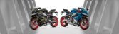 Arpilia RS 660 - 2025